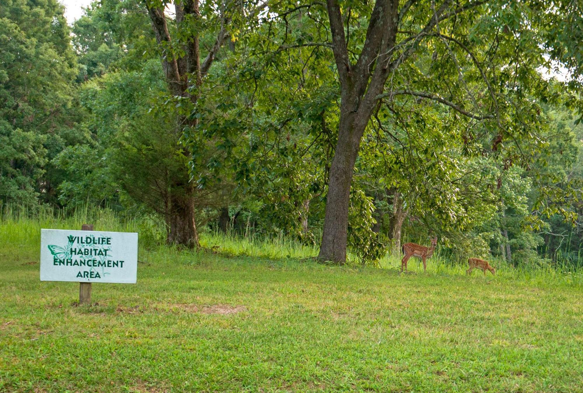 Barren River Lake State Resort Park Lucas Екстериор снимка